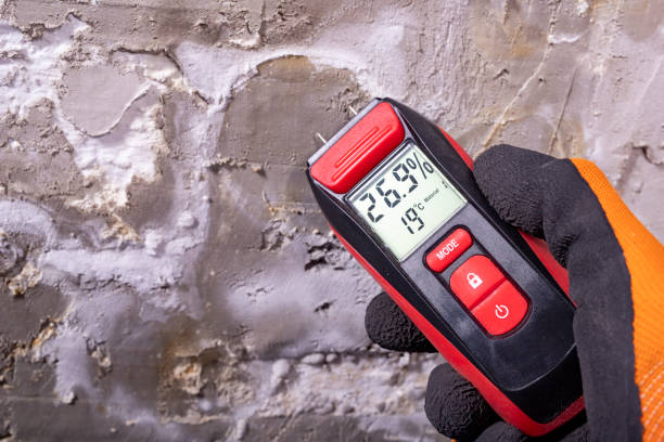 Attic Mold Removal in Steep Falls, ME