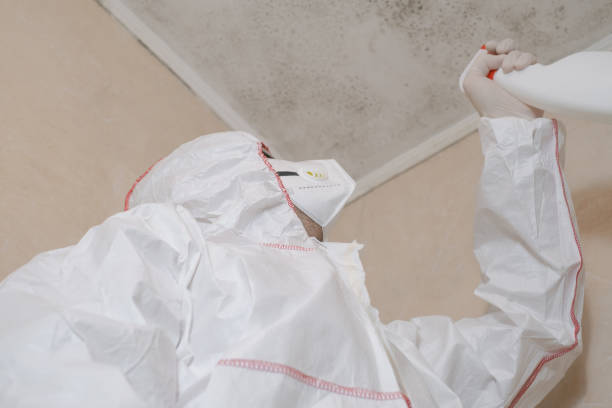 Water Damage Restoration in Steep Falls, ME