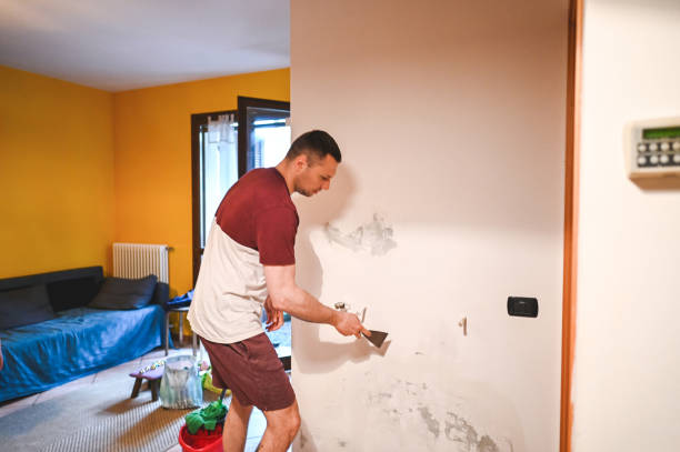 Office Mold Removal Services in Steep Falls, ME
